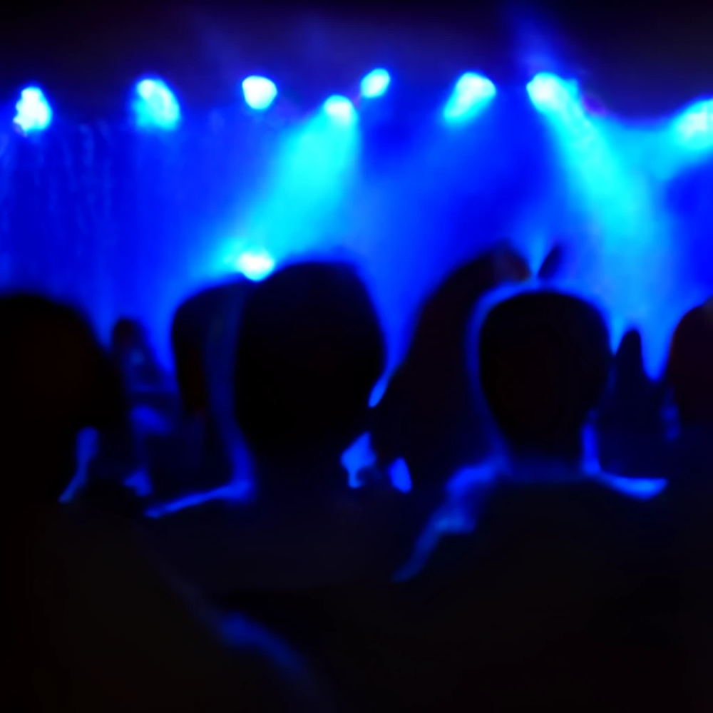 concert audience dark blue